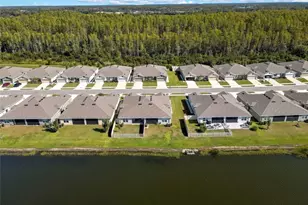 18267 Turning Leaf Cir, Land O Lakes, FL 34638 - Photo 29