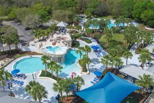 16320 Bridgewalk Dr, Lithia, FL 33547 - Photo 57