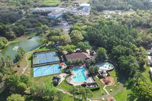 16320 Bridgewalk Dr, Lithia, FL 33547 - Photo 55