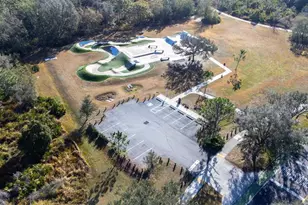 16320 Bridgewalk Dr, Lithia, FL 33547 - Photo 59