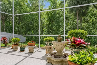 8263 Swann Hollow Drive, Tampa, FL 33647 - Photo 43