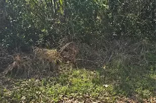 Tbd Unassigned, Lake City, FL 32024 - Photo 1