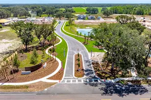 3021 Parapet Terrace Pl, Plant City, FL 33565 - Photo 19