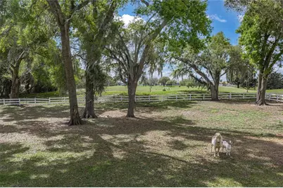 34428 Mission Valley Drive, Dade City, FL 33525 - Photo 91