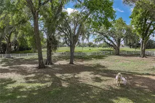 34428 Mission Valley Dr, Dade City, FL 33525 - Photo 91