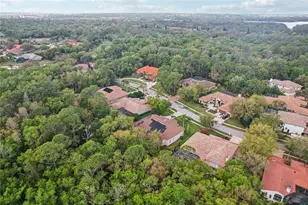 4931 Turtle Creek Trail, Oldsmar, FL 34677 - Photo 85