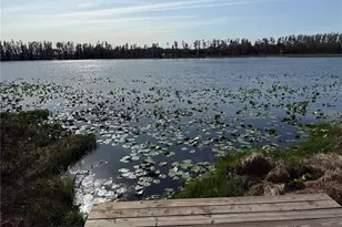 17011 Alderman Turner Rd, Wimauma, FL 33598 - Photo 9