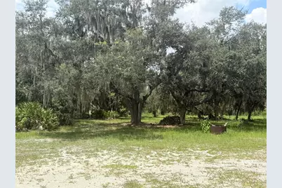 17011 Alderman Turner Road, Wimauma, FL 33598 - Photo 7