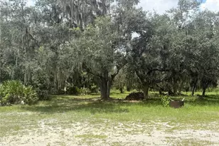 17011 Alderman Turner Rd, Wimauma, FL 33598 - Photo 7