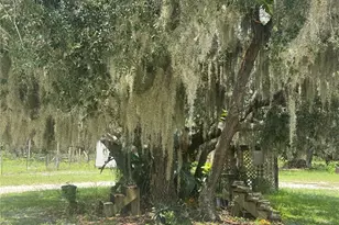 17011 Alderman Turner Rd, Wimauma, FL 33598 - Photo 5