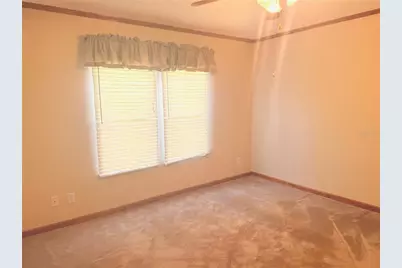 17011 Alderman Turner Road, Wimauma, FL 33598 - Photo 29