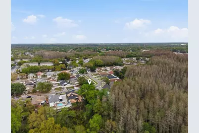 11914 Sugar Tree Drive, Tampa, FL 33625 - Photo 41