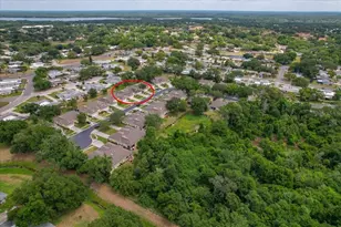 1171 Royal Blvd, Palm Harbor, FL 34684 - Photo 59