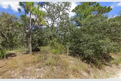 16513-16515 Breakwater Lane, Spring Hill, FL 34610 - Photo 5