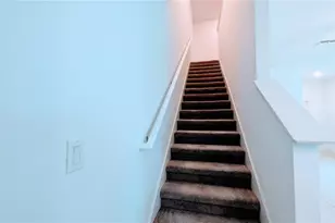 6049 Shiner St, Land O Lakes, FL 34638 - Photo 13