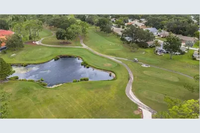 984 Gillespie Drive, Palm Harbor, FL 34684 - Photo 59