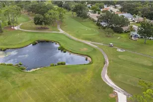 984 Gillespie Dr, Palm Harbor, FL 34684 - Photo 59