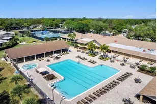 984 Gillespie Dr, Palm Harbor, FL 34684 - Photo 57