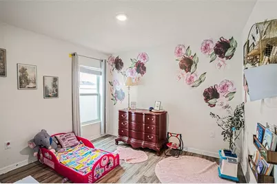 429 Olive Conch Street, Ruskin, FL 33570 - Photo 5