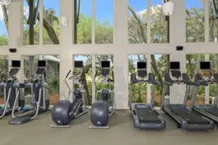 6002 Watercolor Dr, Lithia, FL 33547 - Photo 63