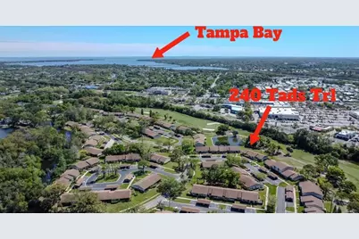 240 Tads Trail, Oldsmar, FL 34677 - Photo 23