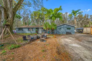 19202 Rogers Rd, Odessa, FL 33556 - Photo 59