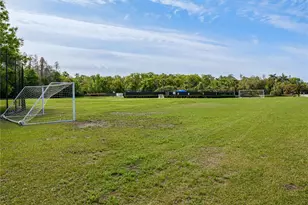 10515 Canary Isle Dr, Tampa, FL 33647 - Photo 57