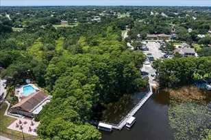 1369 Gillespie Dr N, Palm Harbor, FL 34684 - Photo 65