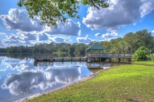 2913 Forest Club Dr, Plant City, FL 33566 - Photo 79