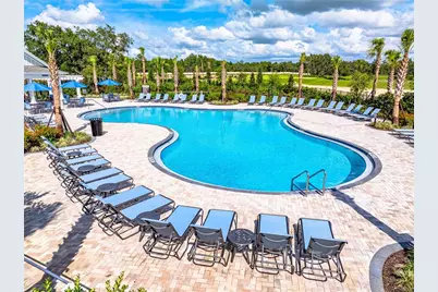 12411 Gust Court, Hudson, FL 34669 - Photo 39