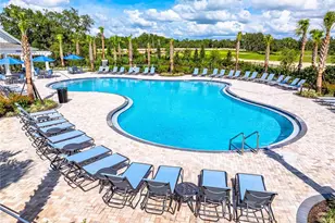 12411 Gust Ct, Hudson, FL 34669 - Photo 39