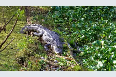 13304 Sanctuary Cove Drive #303, Temple Terrace, FL 33637 - Photo 59