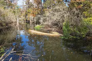 13304 Sanctuary Cove Dr, Temple Terrace, FL 33637 - Photo 57