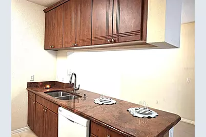 13304 Sanctuary Cove Drive #303, Temple Terrace, FL 33637 - Photo 5