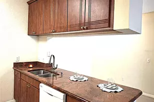 13304 Sanctuary Cove Dr, Temple Terrace, FL 33637 - Photo 5