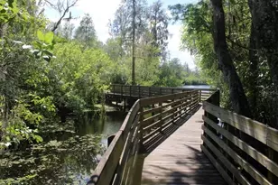 13304 Sanctuary Cove Dr, Temple Terrace, FL 33637 - Photo 61