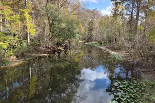 13304 Sanctuary Cove Dr, Temple Terrace, FL 33637 - Photo 55