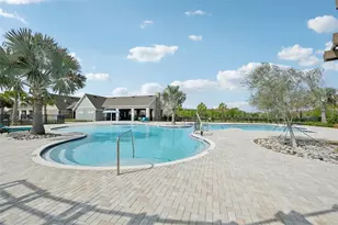 14162 Swiss Bridge Dr, Riverview, FL 33579 - Photo 35