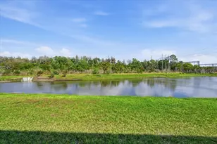 8327 Wildflower Glen Ave, Odessa, FL 33556 - Photo 29