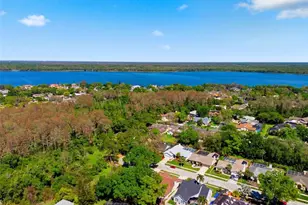 2936 Spring Oak Ct, Palm Harbor, FL 34684 - Photo 43