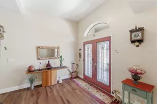 2936 Spring Oak Ct, Palm Harbor, FL 34684 - Photo 5