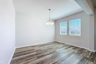 11828 Cara Field Ave, Riverview, FL 33579 - Photo 3