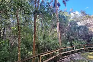 17110 Carrington Park Dr, Tampa, FL 33647 - Photo 23