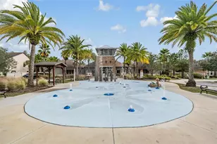 32699 Dashel Palm Ln, Wesley Chapel, FL 33543 - Photo 47