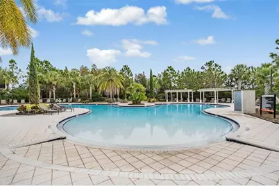 32699 Dashel Palm Lane, Wesley Chapel, FL 33543 - Photo 51