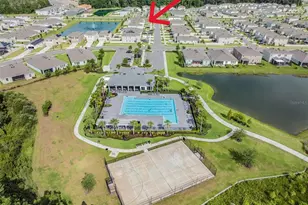 32699 Dashel Palm Ln, Wesley Chapel, FL 33543 - Photo 3