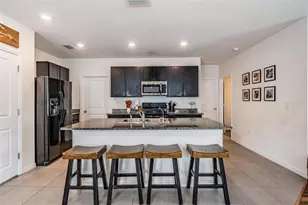 32699 Dashel Palm Ln, Wesley Chapel, FL 33543 - Photo 13