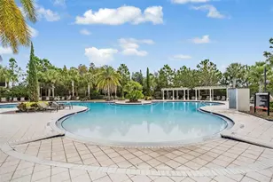 32699 Dashel Palm Ln, Wesley Chapel, FL 33543 - Photo 53