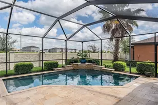 32383 Natural Bridge Rd, Wesley Chapel, FL 33543 - Photo 23