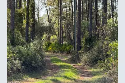 Tbd US 19, Inglis, FL 34449 - Photo 3